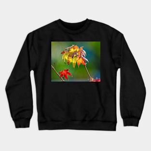 Autumn Colour Crewneck Sweatshirt